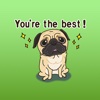 Duke The Funniest Pug English Stickers