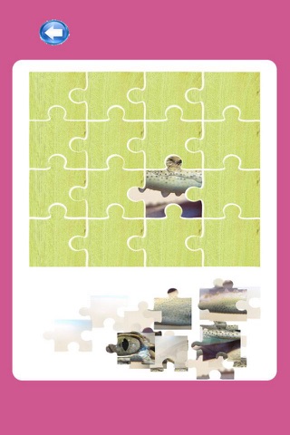 Animals CrocodileAnimal Jigsaw For Kids Preschool screenshot 2