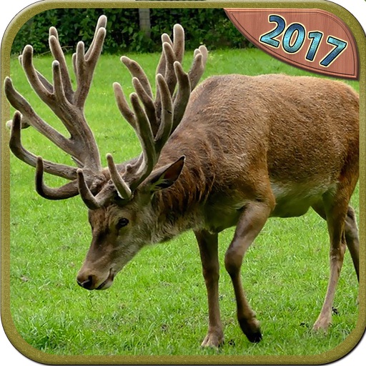 Deer Hunt-Ing 2K16 To 2K17 Elite Pro - Sniper iOS App
