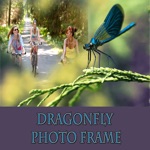 Dragonfly HD Photo Collage Frame