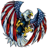RAPID ACCELERATION INDIA PRIVATE LIMITED - American Patriots Decals  artwork