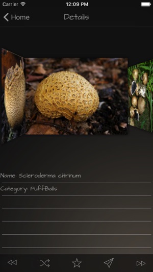 Mushrooms Pro(圖2)-速報App