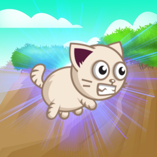 Fast Cat Run iOS App