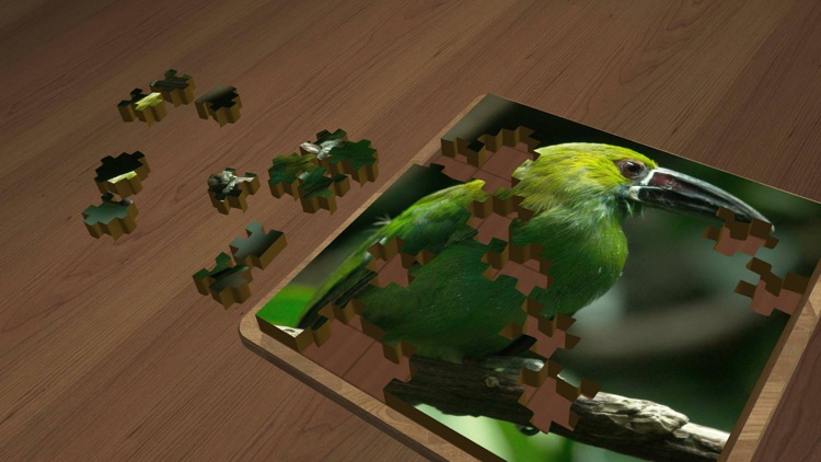 Super Jigsaws Birds