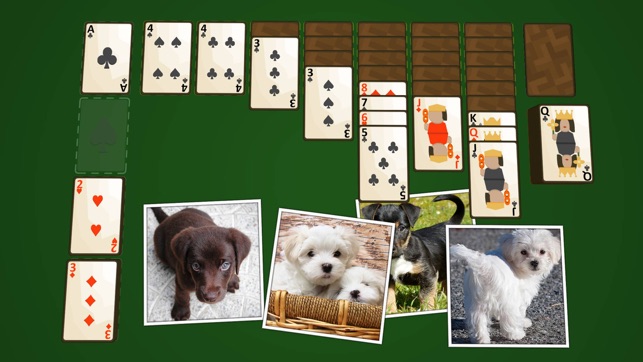 Solitaire Puppies(圖1)-速報App