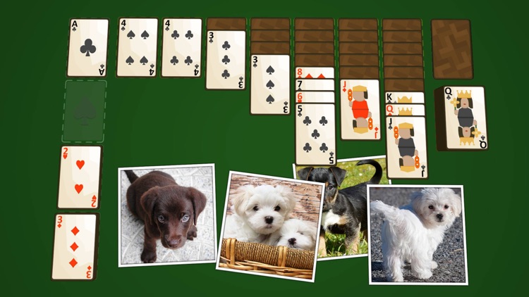 Solitaire Puppies