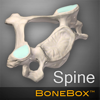 BoneBox - Spine Viewer