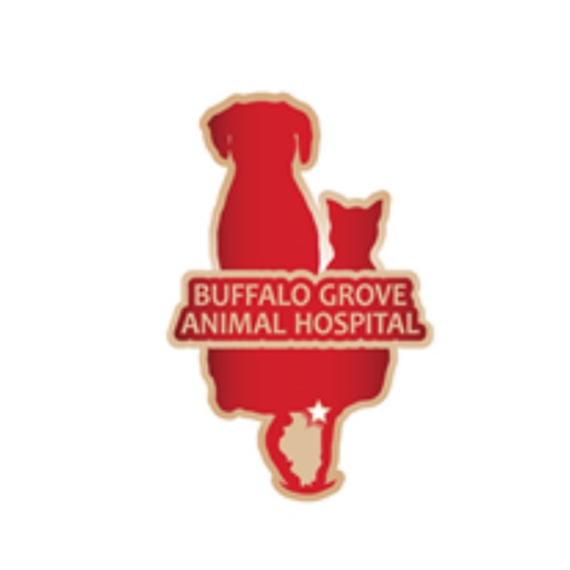 Buffalo Grove Animal Hospital