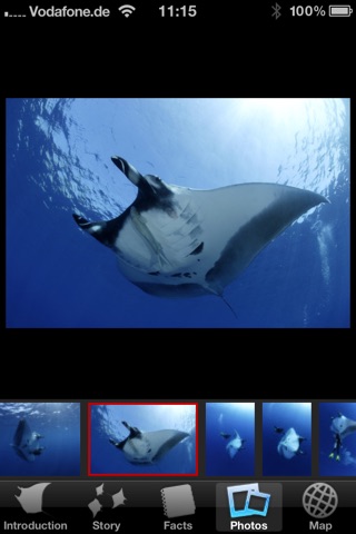 Manta Rays screenshot 4