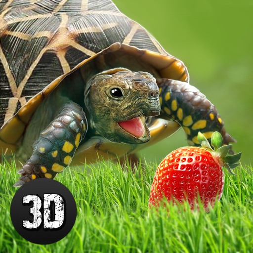 Life of Turtle: House Pet Simulator icon