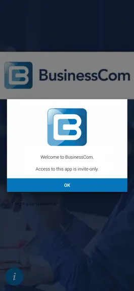 Game screenshot BusinessCom apk