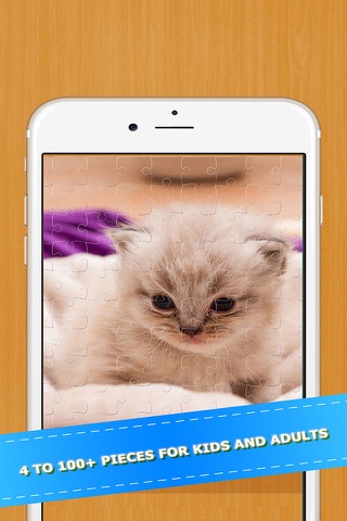 Cat Kitten Kitty Pet Jigsaw Puzzle Sliding Game screenshot 4