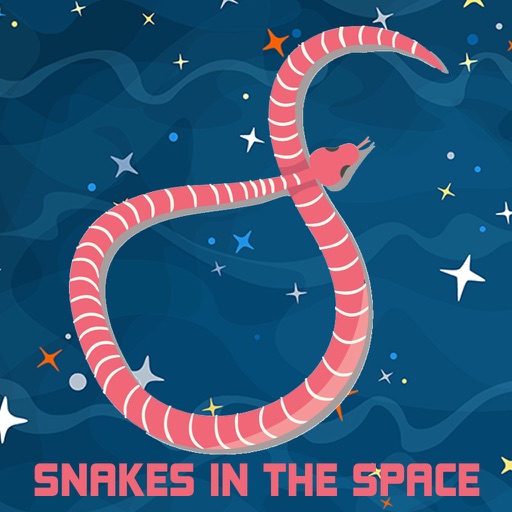 Snakes In The Space icon