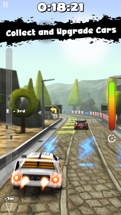 Rally Run