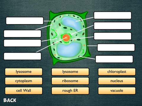 Science Diagrams screenshot 2