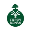 Crespi Bonsai