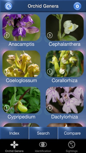 Orchid Id - British Orchids(圖1)-速報App