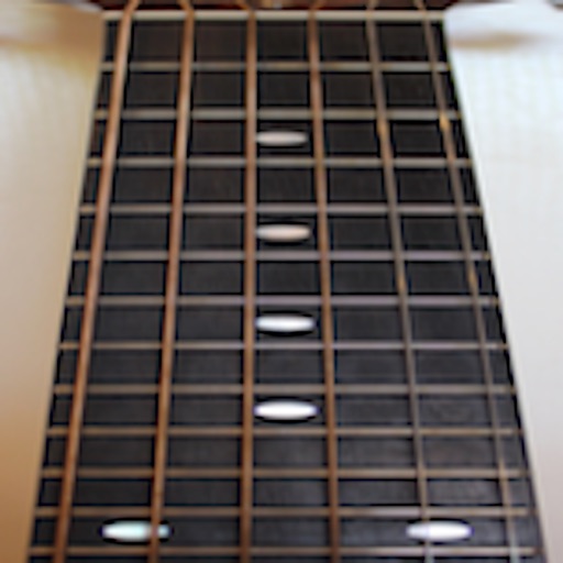 Guitar Fretboard Addict