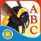 Top 27 Book Apps Like Alphabet of Insects - Best Alternatives