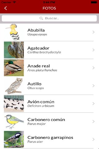 Aves Del Retiro screenshot 2