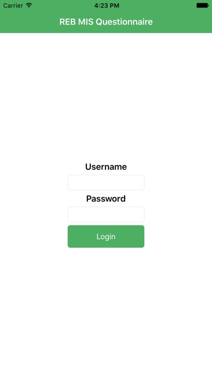 REB MIS Questionnaire