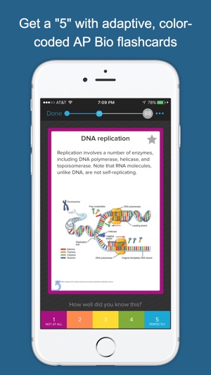 AP Biology Exam Review(圖1)-速報App