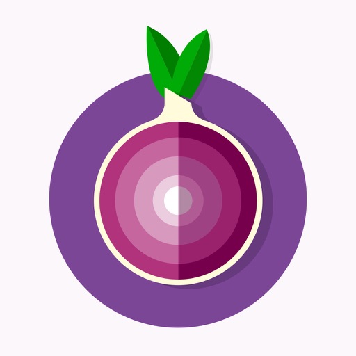 Secret Secure Web Browser With TOR Browser Powered