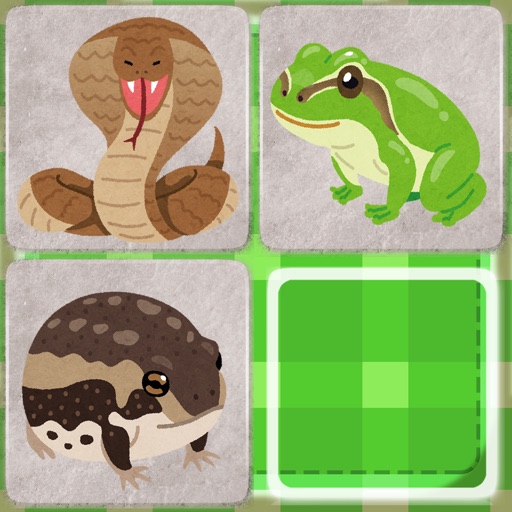 Snakes and frogs slide puzzle iOS App