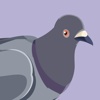 Trash Birds - Funny Realistic Pigeons