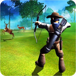 Archery Master Animal Hunter