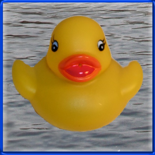 Duck Invader iOS App