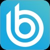 Icon B4B Payments