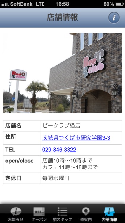 Bee-club 猫店 screenshot-3