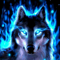 App Icon for Amazing Wolf Wallpapers App in Pakistan IOS App Store