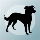 Top 25 Lifestyle Apps Like What's My Mutt? - Best Alternatives