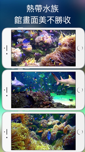 水族館 HD(圖2)-速報App