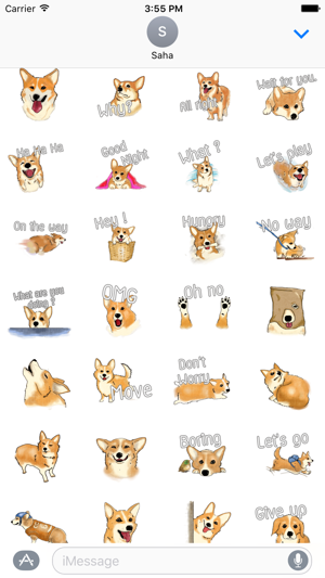 Corgi Dog Sticker(圖1)-速報App