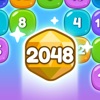 Block Shot 2048