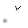 Noisy and Rude Mosquito - Animated Sticker