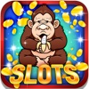 New Primate Slots: Strike the monkey combinations