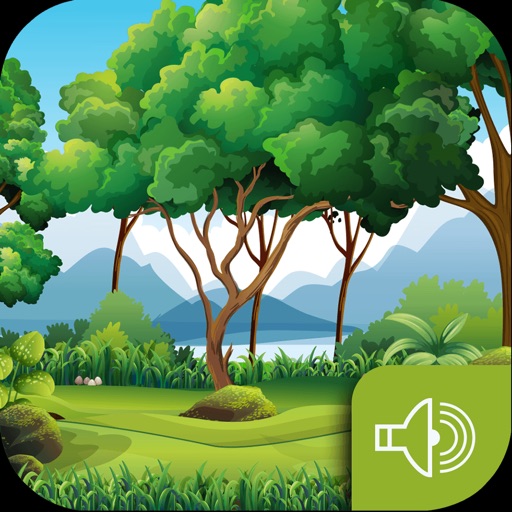 Sound OF The Forest - Exclusive Jungle Soundboard iOS App