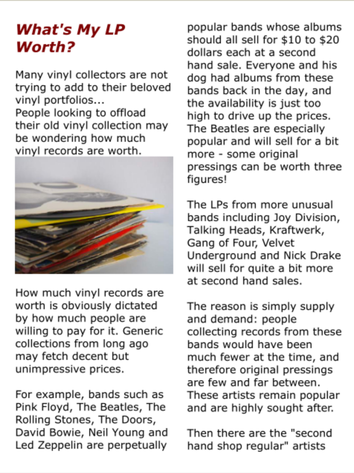 Vinyl Record Enthusiast