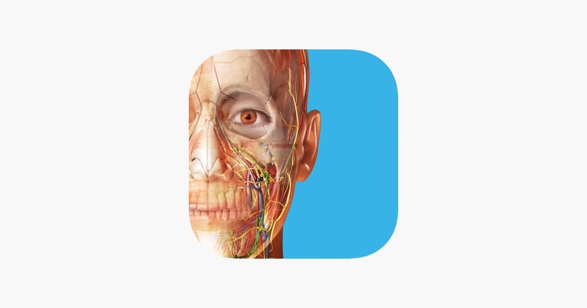 Human Anatomy Atlas 2023 On The App Store   1200x630wa 