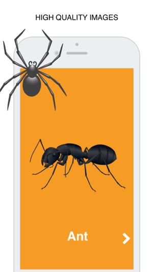 Insects Flashcard for babies and preschool Pro(圖2)-速報App