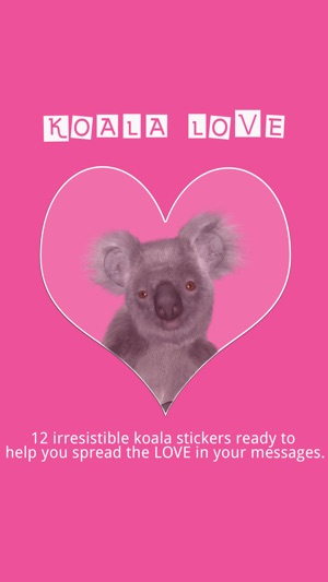 Koala Love
