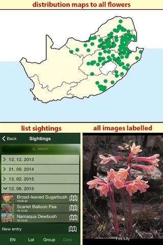 Wildflowers of South Africa screenshot 4