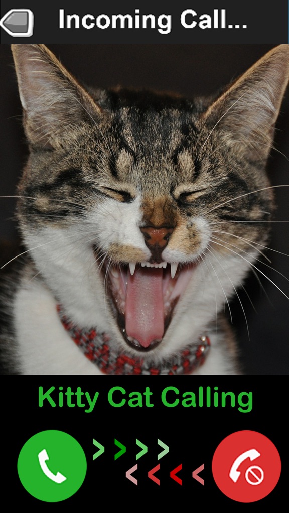 【图】Kitty Cat Fake Phone Call – Birthday Surprise(截图1)