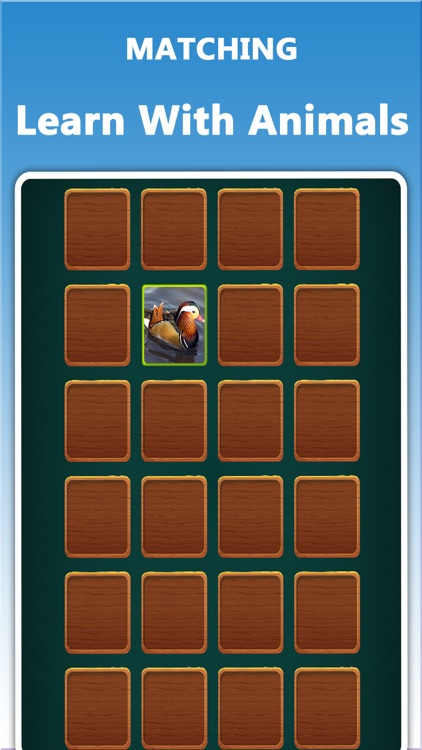 Kids Education Game With Animals
