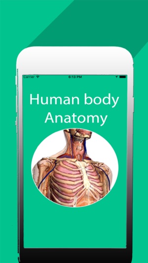 Organs of human body(圖1)-速報App