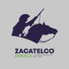 Zacatelco Renace